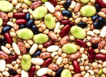 Which Beans Best Block  The Spread of Cancer