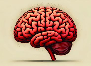 Obesity&rsquo;s impacts  on our  Brain, Dementia, & Fertility