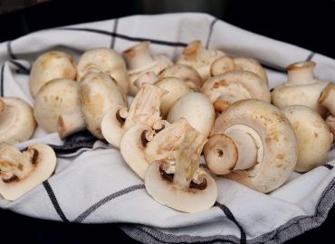 Do Mushrooms Help Prostate Cancer?