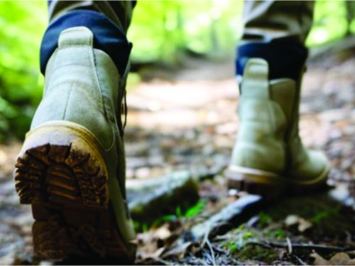 Spend Time in Nature for Your Health?