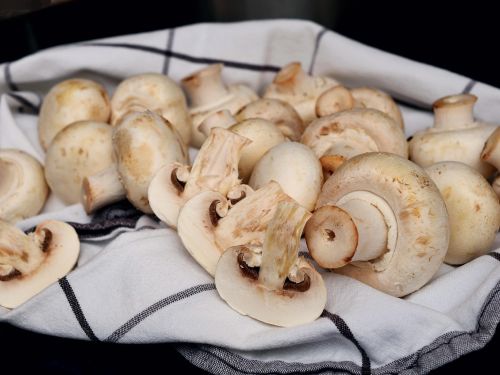 Do Mushrooms Help Prostate Cancer?
